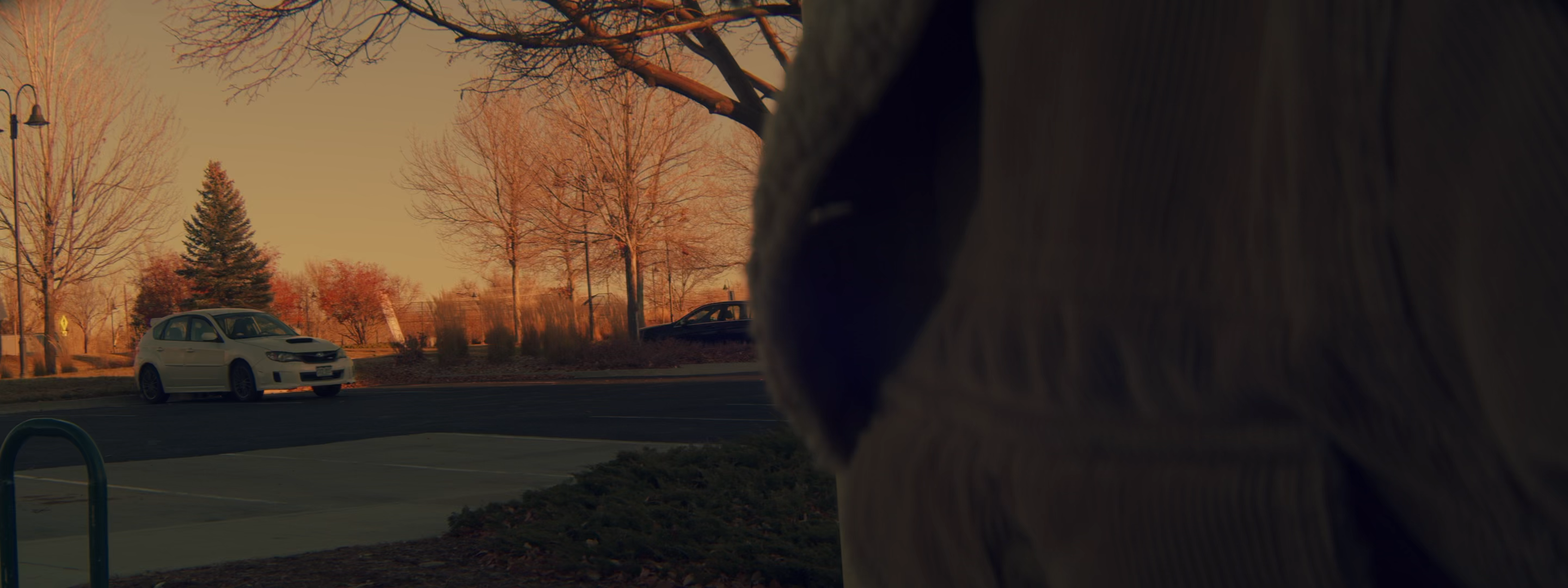 frame 1